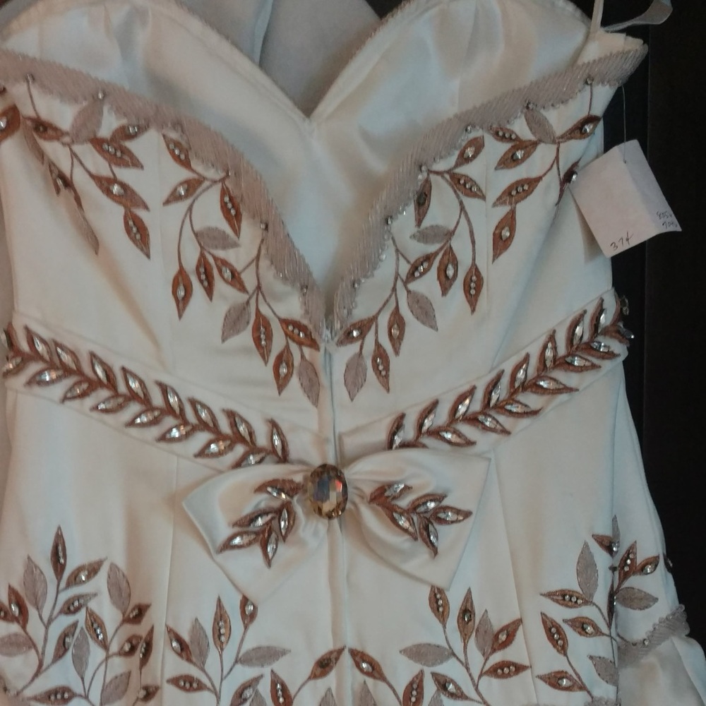 Stunning Champagne W/Swarovski ❤️Wedding gown/dress, runway show size 10 - Picture 7 of 10